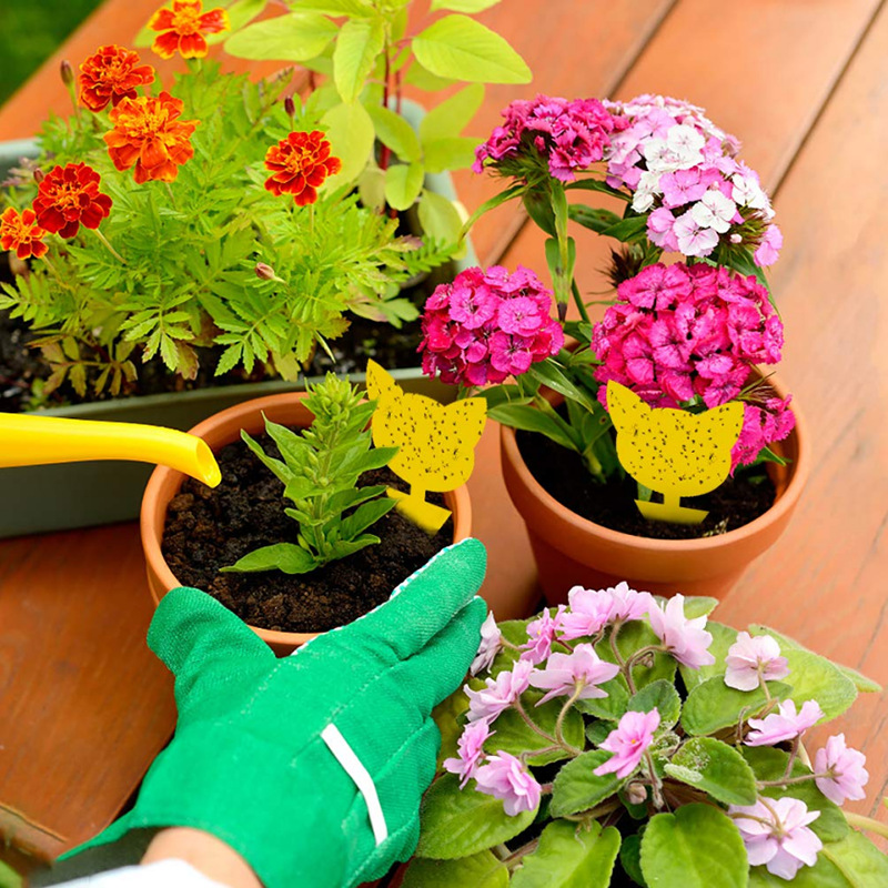 Insect stickers double-sided factory direct yellow flower trap butterfly yellow board Amazon gardening fly trap