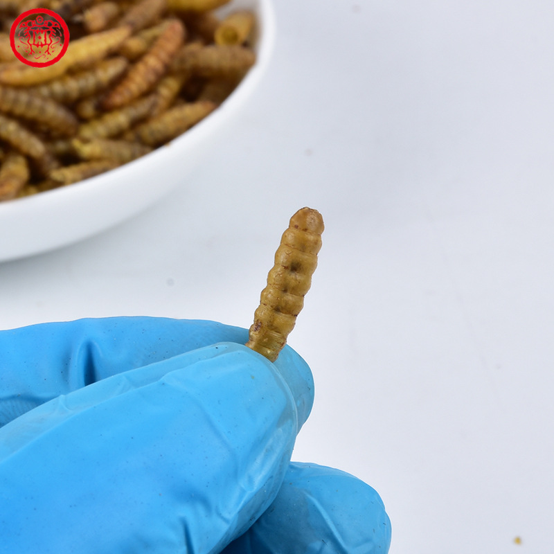 Factory Direct Sales Aquaculture Pet Ration Snacks Black Water Centipede