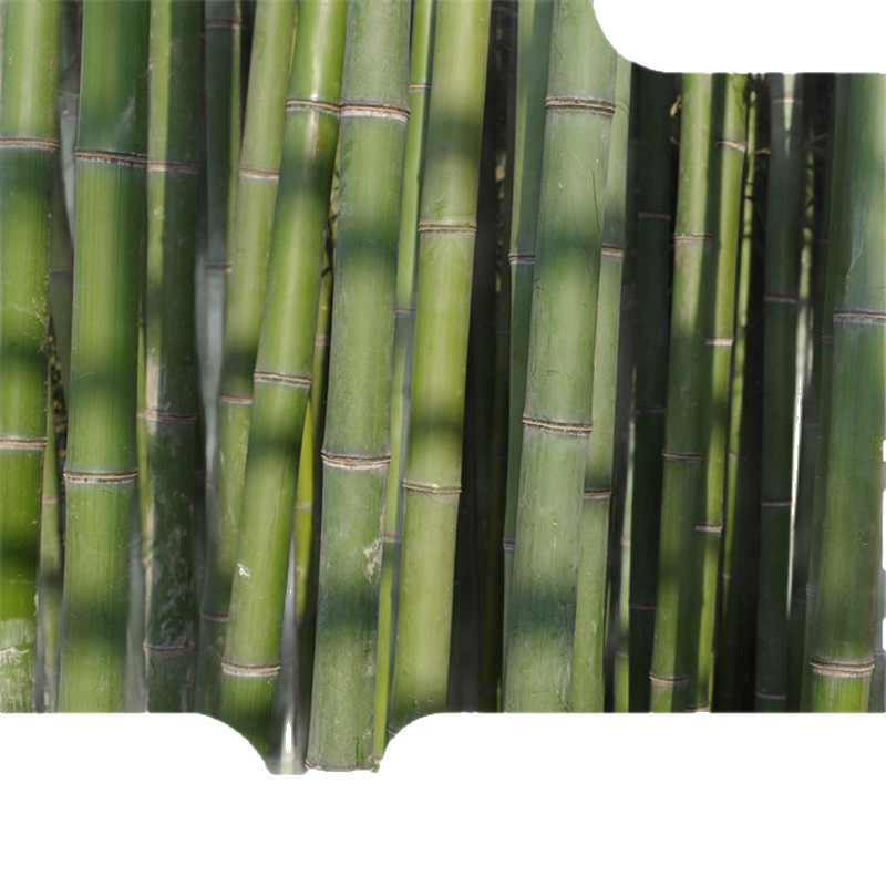 Green Bamboo Seedlings, Courtyard Cold-Resistant Bamboo Seedlings, Large Ornamental Bamboo Potted Plants, Evergreen Purple Bamboo, Golden Bamboo