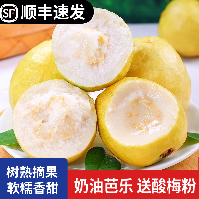 Прямые поставки из Фуцзяня, кремовая гуава с мягким центром, свежесобранная, мягкая и сладкая беломясная гуава, оптовая продажа