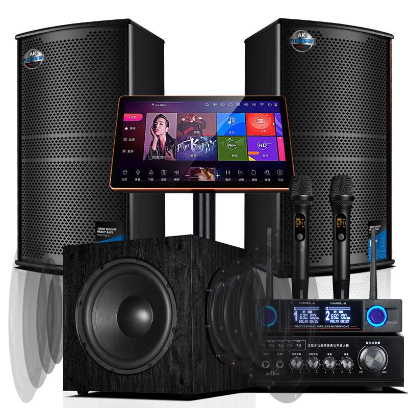 12inch Home Ktv Audio Set Complete Karaoke Machine Karaoke Home Karaoke Theater Professional Equipment