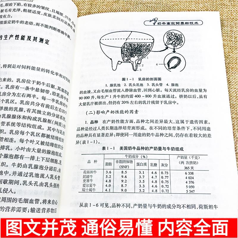 Genuine cow breeding new technology cow breeding technology Book Complete Cow disease book disease