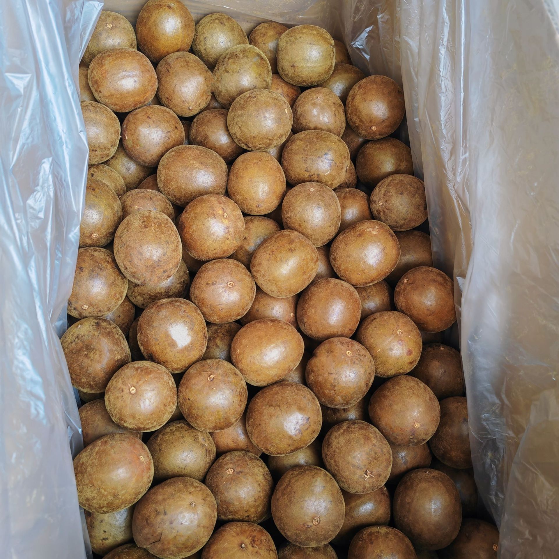 Guangxi Specialty Luo Han Guo Chinese Medicinal Materials Genuine Wholesale Whole Box Flower and Fruit Tea