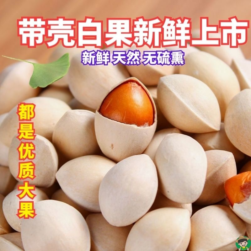 2025 Raw Ginkgo Biloba Fresh Special Shelled Large Fruit Seasonal Ginkgo Biloba Non-Bleached Edible Dried Fruit