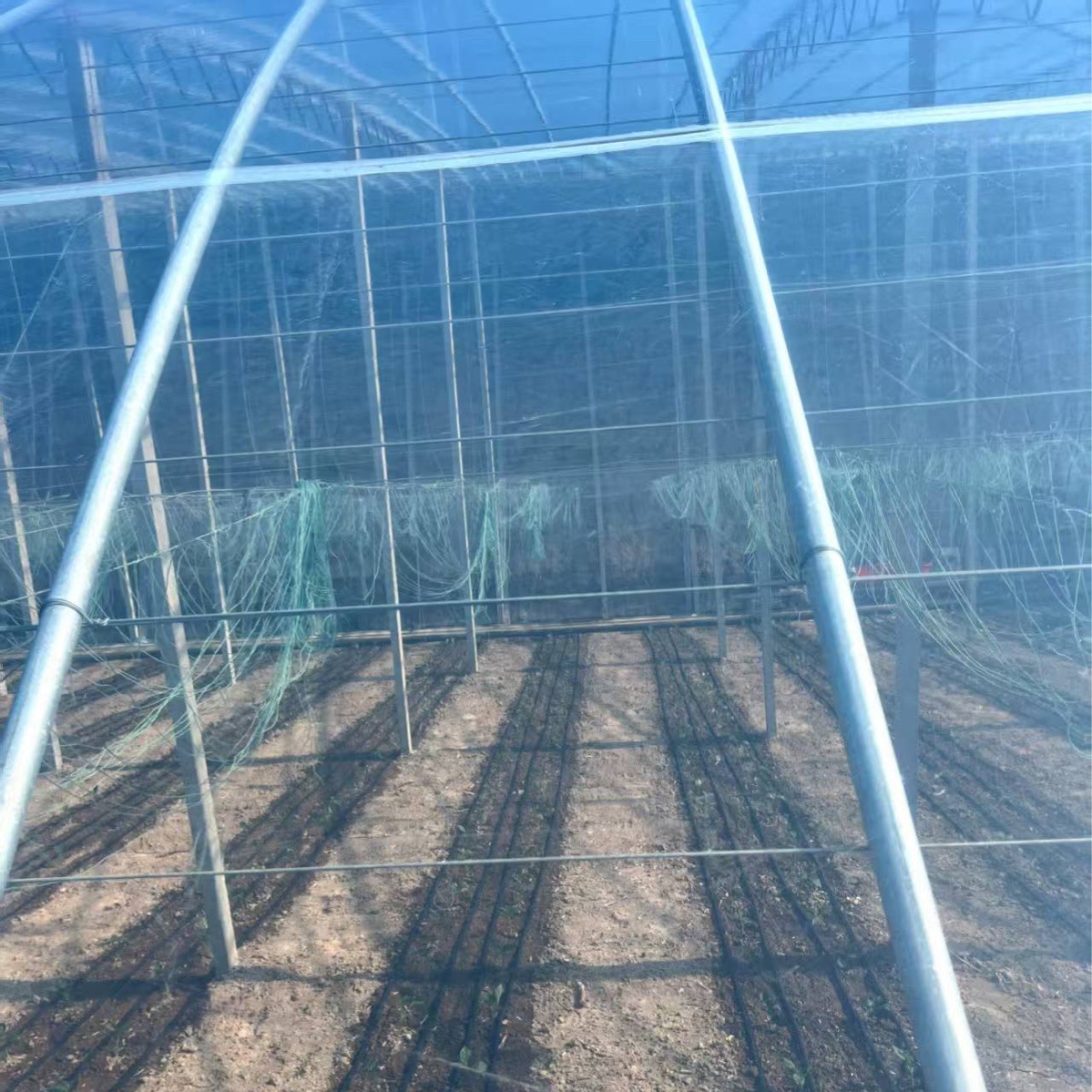 Высокая теплоизоляция, многофункциональная пленка Po, производители, оптовая продажа