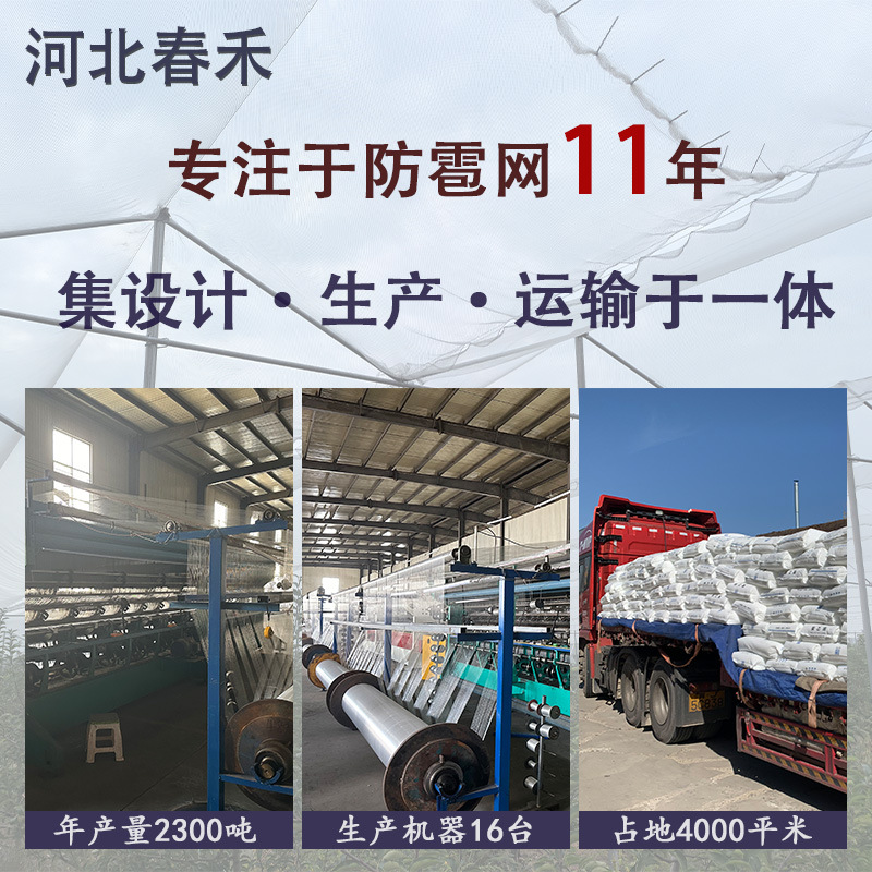 Anti-Hail Net White Rhombus Apple Orchard Cherry Tree Anti-Hail Net Rice Planting Flower Garden Thickeneded Anti-Hail Net