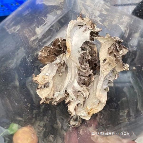 Maitake Dried Goods, Edible Mushrooms, Pollution-Free Green Maitake Tea, Farm Chestnut Mushrooms, Maitake Slices 100g