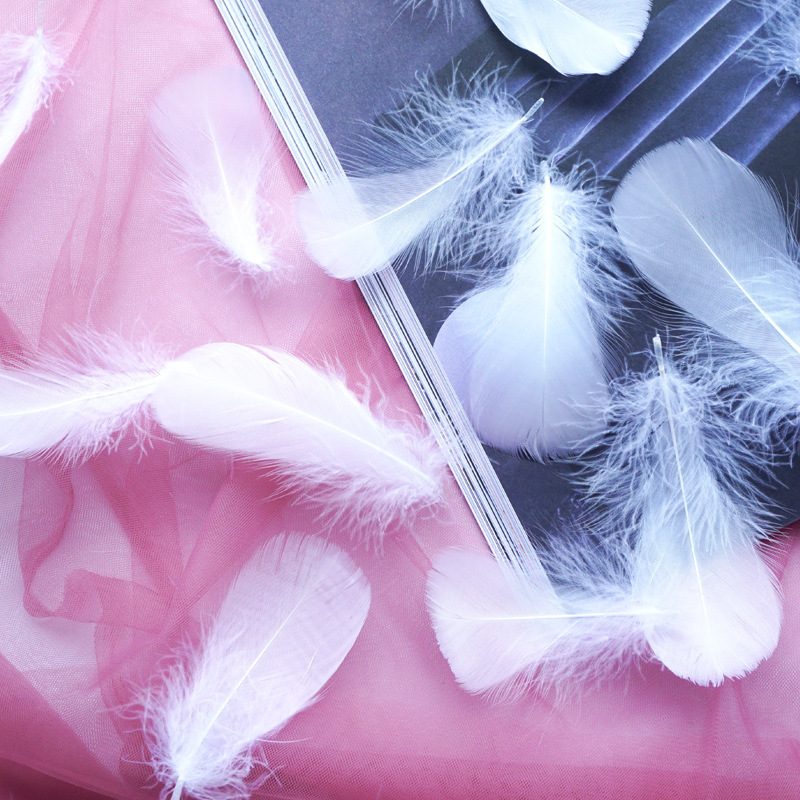 Factory wholesale macaroon color small feather 5-8cm goose feather small floating wave ball balloon filling decoration material