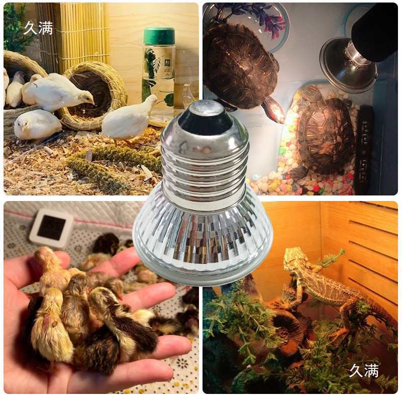 Quail Chick Heat Lamp Chick Brooding Heating Winter Warming Farm Thermostat Heating Bulb