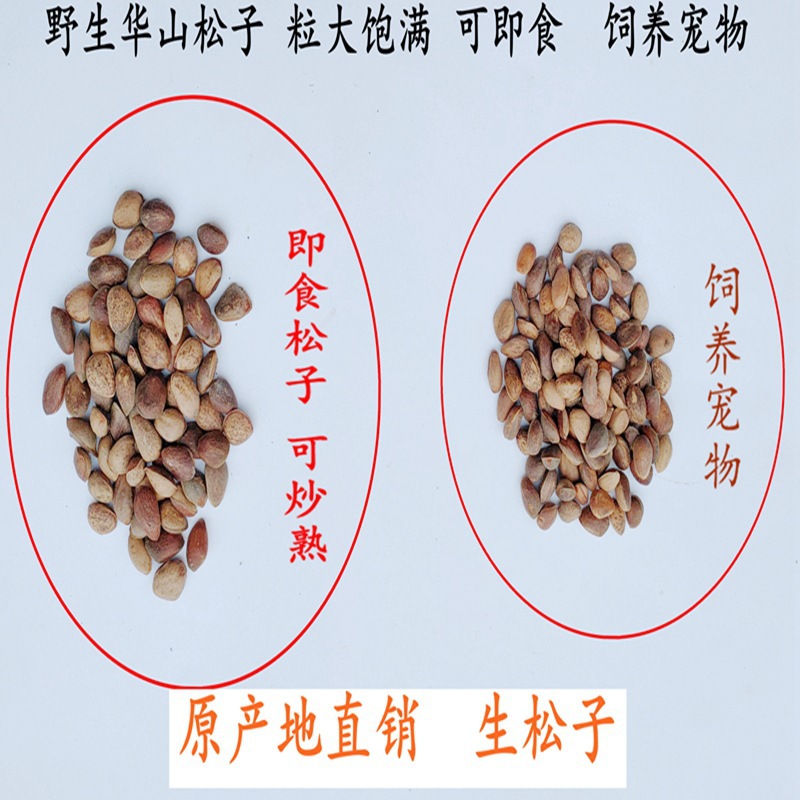 Hand-Picked from the Qinba Mountains, Raw Materials Are Sourced Directly from the Area. New Arrivals for 2023 Are Now Available for Nut Health Care