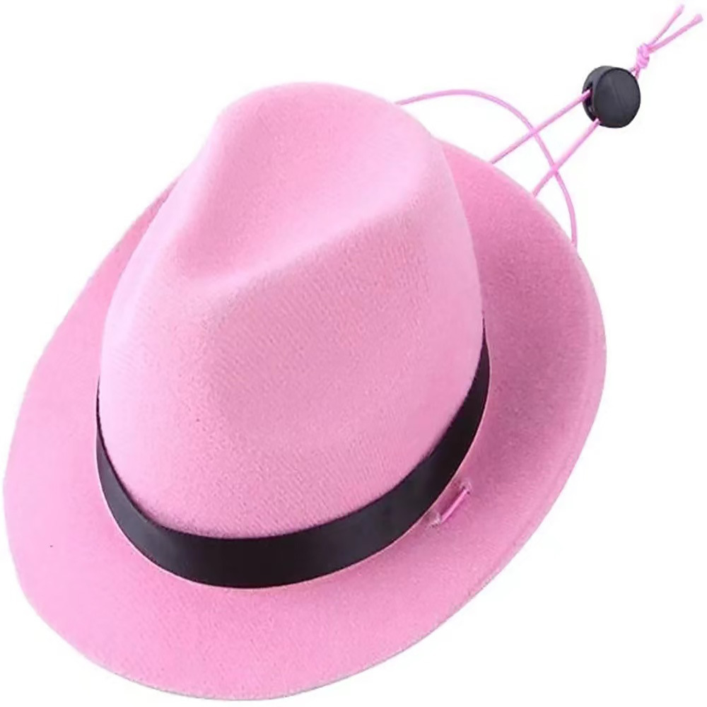 Cross-border Amazon Mexico Western Cowboy Hat Birthday party Hat Sunshade Sunscreen Hat Mini Pet Hat