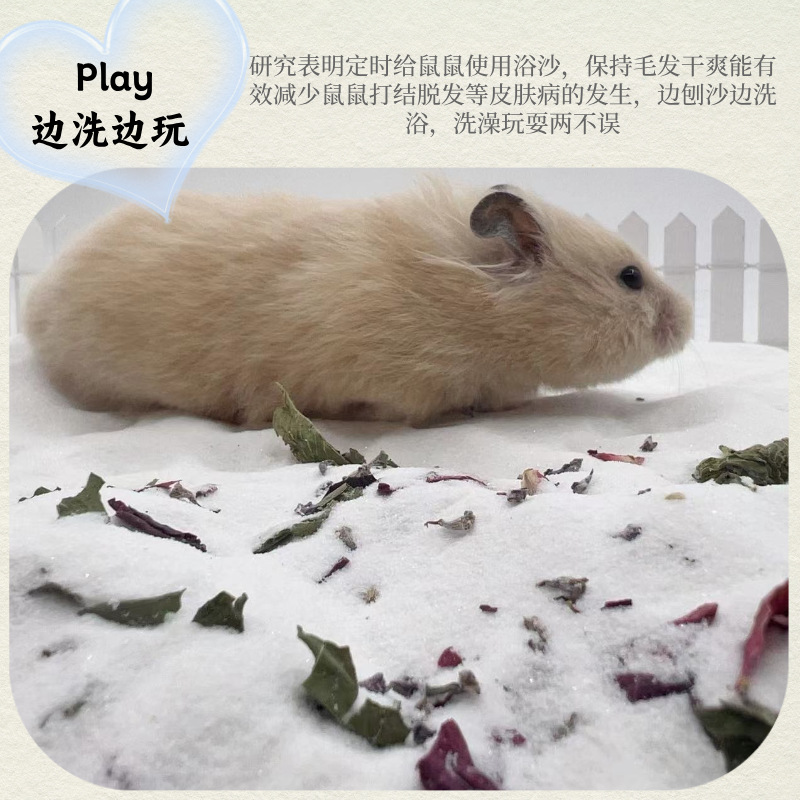 Hamster Bath Sand, Odor Removal, Low Dust, Chinchilla, Guinea Pig, Golden Bear Bath Sand, Urine Sand, Pet Toilet Special Manufacturer Wholesale
