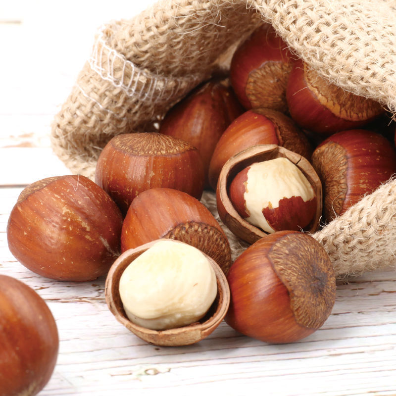 New Northeastern Hazelnuts in Cans, Full Kernels, Crispy Nuts, Snacks for Pregnant Women, Dried Goods, Natural and Easy to Peel