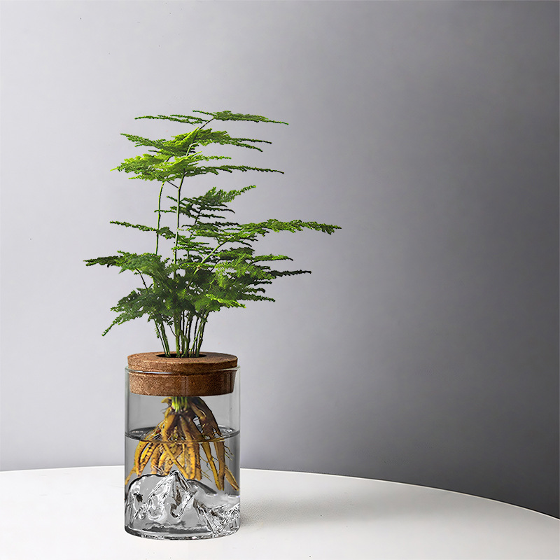 Hydroponic Plant Small Potted Plant Office Desktop Potted Glass Bottle Green Plant Ornaments Mountain View Bottle Small Vase Micro Landscape