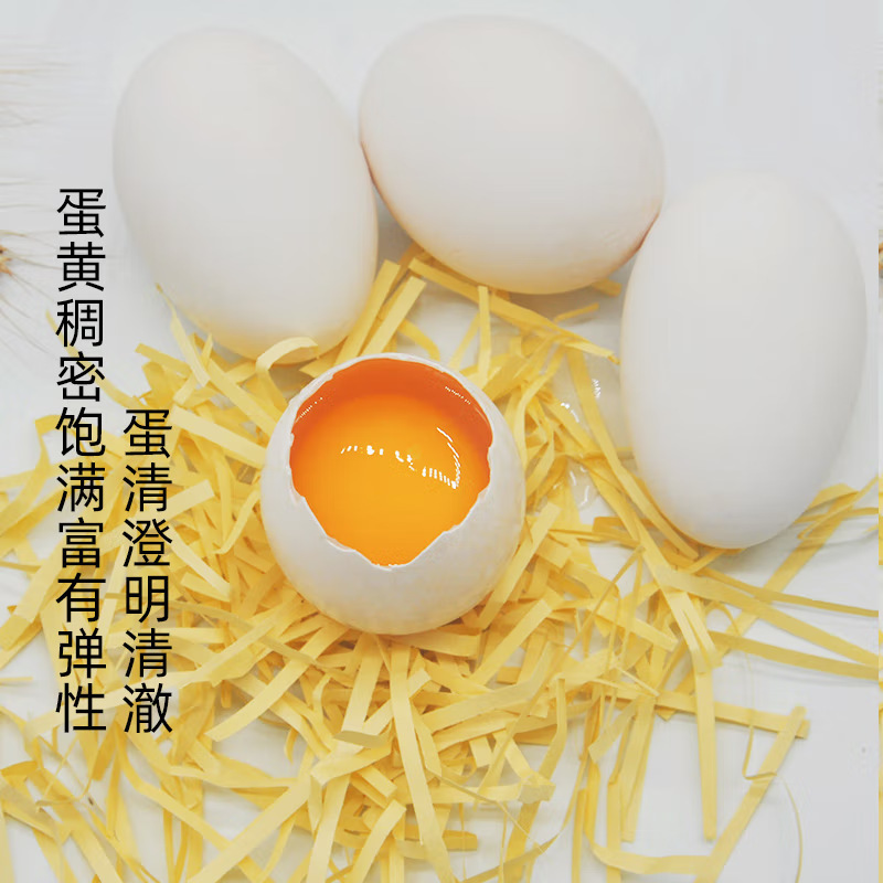 Fresh Goose Eggs for Pregnant Women, Farm-Raised Free-Range Goose Eggs, Authentic Specialty, Freshly Picked and Shipped, 12 Goose Eggs (80-100 Grams)