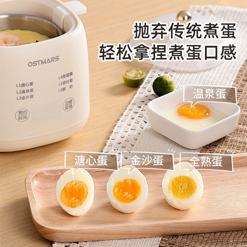Egg Steamer Automatic Power-off Hot Spring Egg Multifunctional Breakfast Machine Reservation Timing Household Mini Egg Boiler