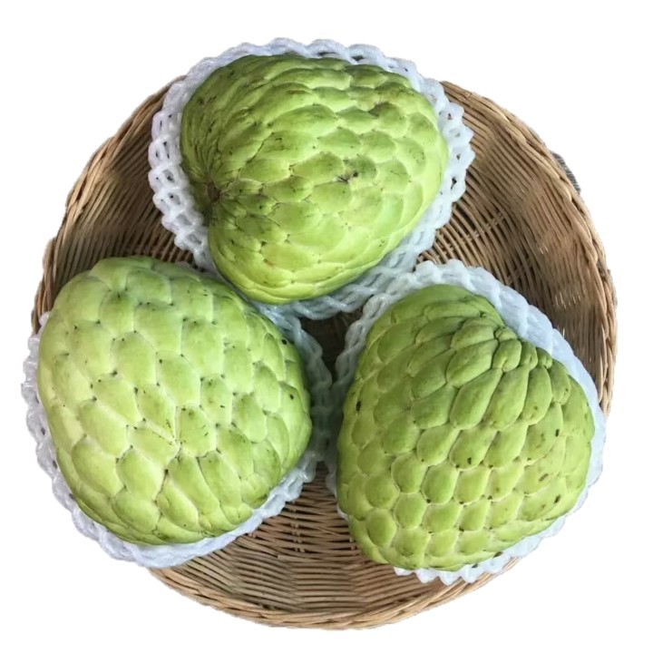 Fresh Sakyamuni Fruit from Yunnan 2.5kg Large Eye Pineapple Milk Buddha Head Fruit Ringo Moni Fruit Seasonal Fruit