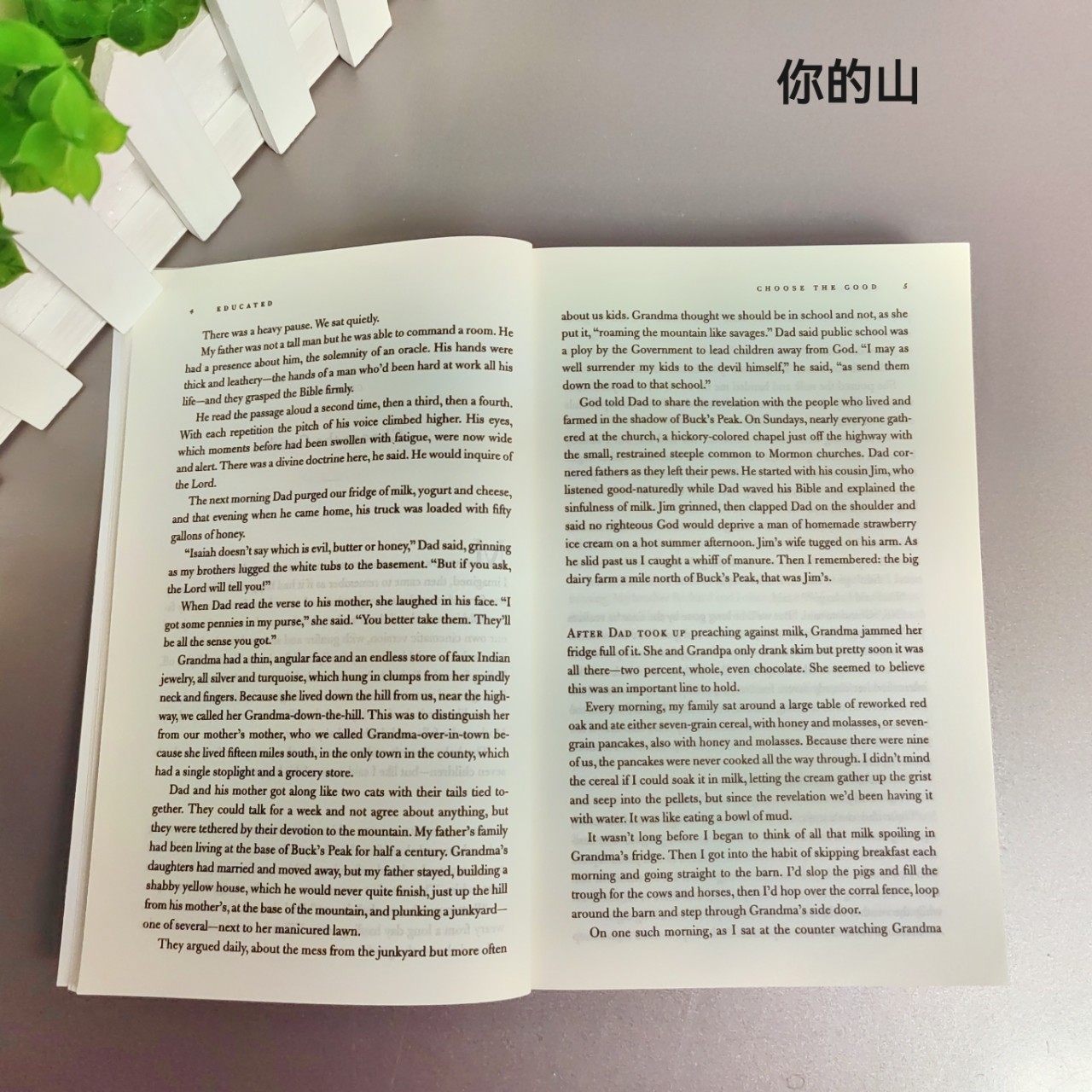 Educated A Memoir Education Changes Your Life When You Fly Like a Bird to Your Mountain