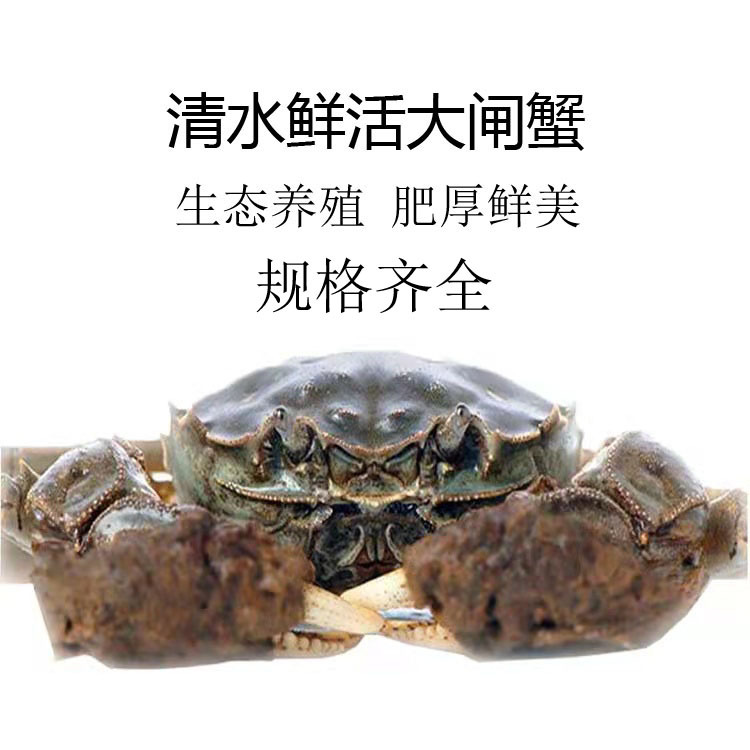 Экологические волосатые крабы из Хубэя, различные спецификации, отправка с базы, свежие волосатые крабы, оптовая продажа с места производства