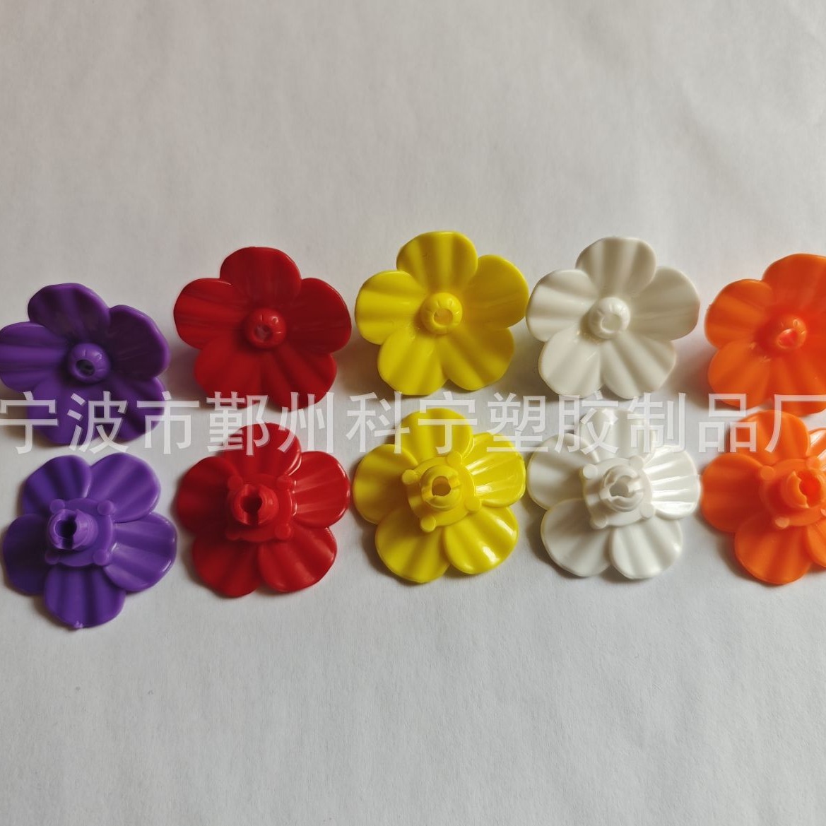 Hummingbird flower hummingbird flower feeding mouth