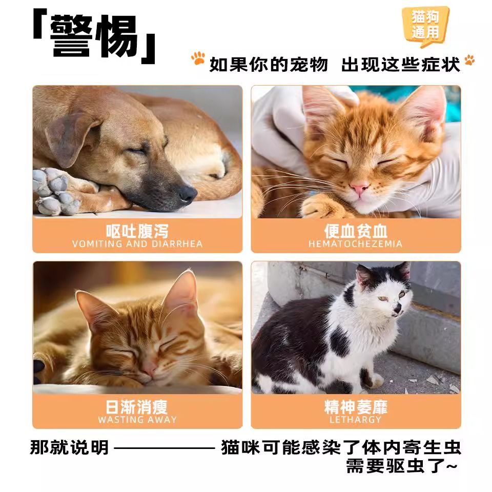 Cat Deworming Medicine, Internal Deworming Medicine for Dogs and Cats, Fenbendazole Tablets, Deworming Medicine, Pet Deworming Medicine