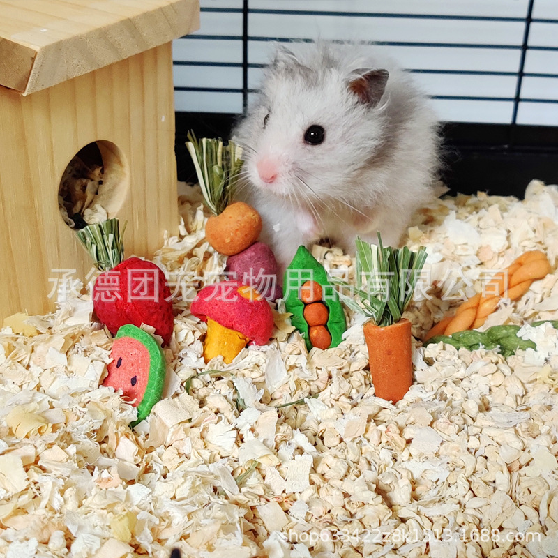 Factory hamster carrot molars small pet molars landscaping golden bear small pet molars biscuits small toy combination