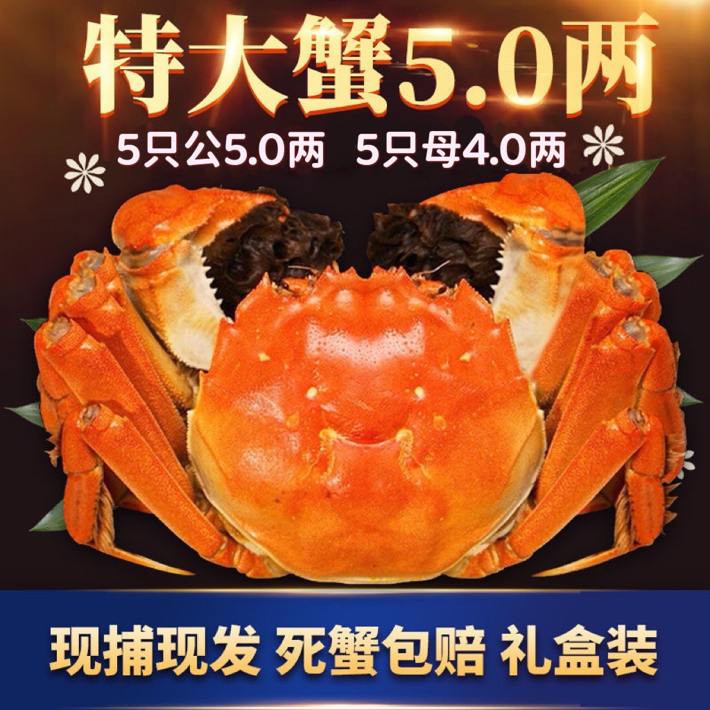 Полные желтые пятнистые волосатые крабы, свежие целые мужские и женские крабы, экстра большие крабы, речные крабы, оптовые подарочные наборы для групповых закупок