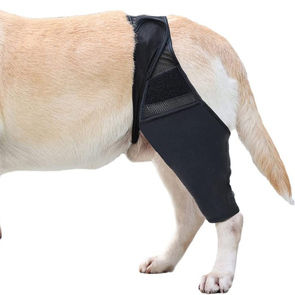 Hot Selling Dog Leg Injury Support Front and Rear Leg Protective Cover Adjustable Support Dog Thigh Postoperative Protective Cover Knee Pad