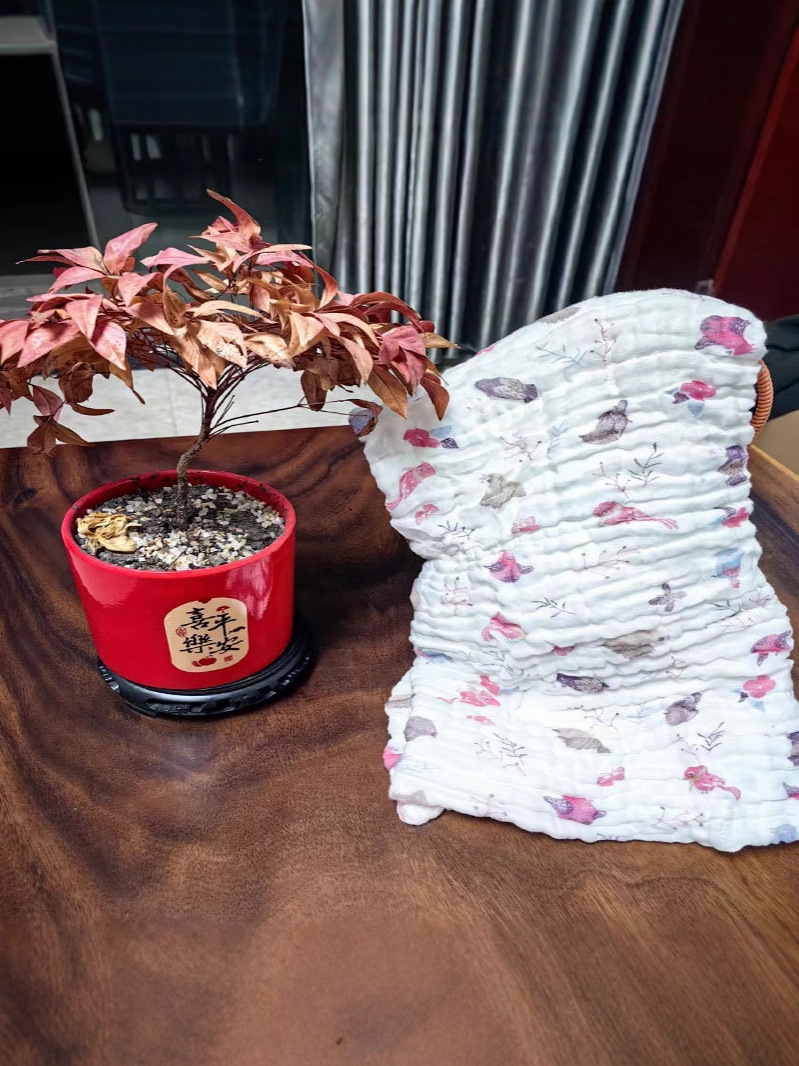 Children's Clothing, Infant Bedding, Class a Seersucker Bath Towel, Pure Cotton Newborn Pure Cotton Winter Single Quilt