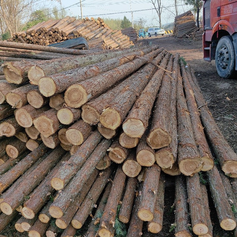 Оптовая продажа оригинальных источников сосновых свай