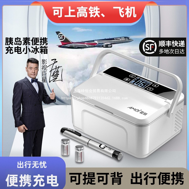 Оптовая продажа летнего нового инсулинового холодильного бокса портативного перезаряжаемого, который можно взять с собой на самолет для хранения