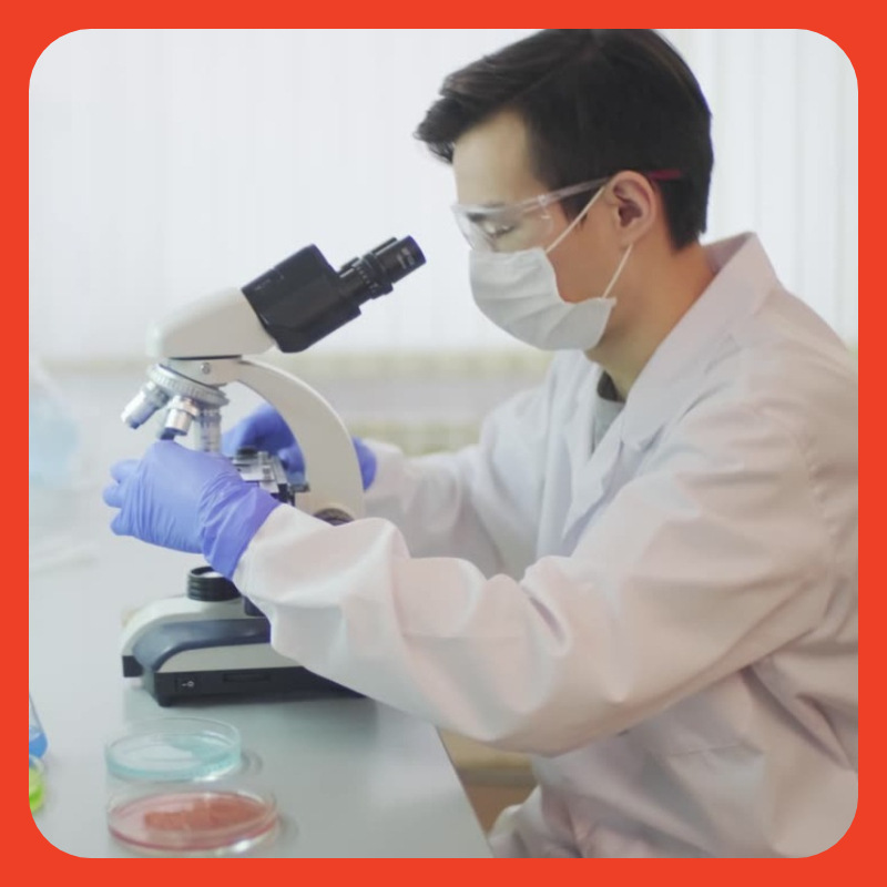 3-Methylenexylamine,Methylamine, 99% Content of Syllabus, Our Customer Satisfaction Is Our Shanghai