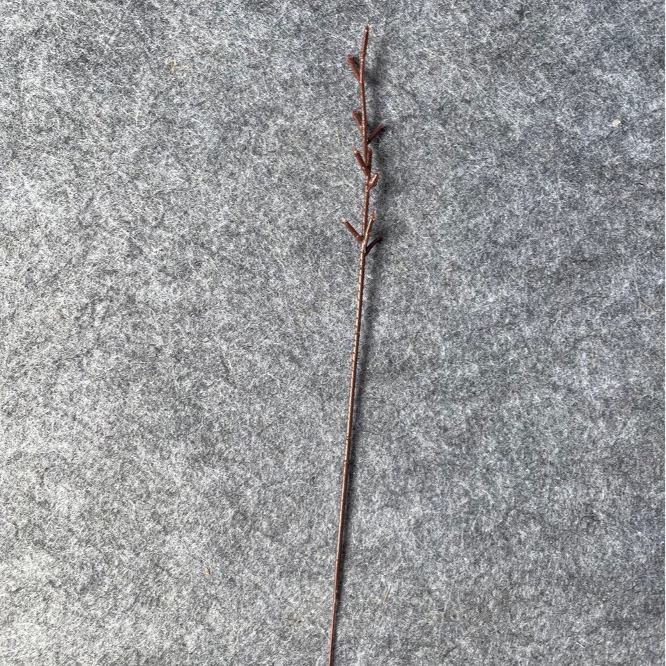 Artificial Eucalyptus Leaves Small Tree Branch 8 Heads 26cm Long Branch Accessories Manufacturer Wholesale Artificial Gardening Accessories