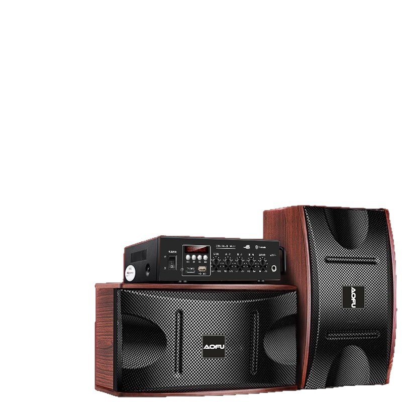 Aofu Family Ktv Audio Set Full Set of Karaoke Machine Home Amplifier Karaoke Equipment Set Karaoke Speaker