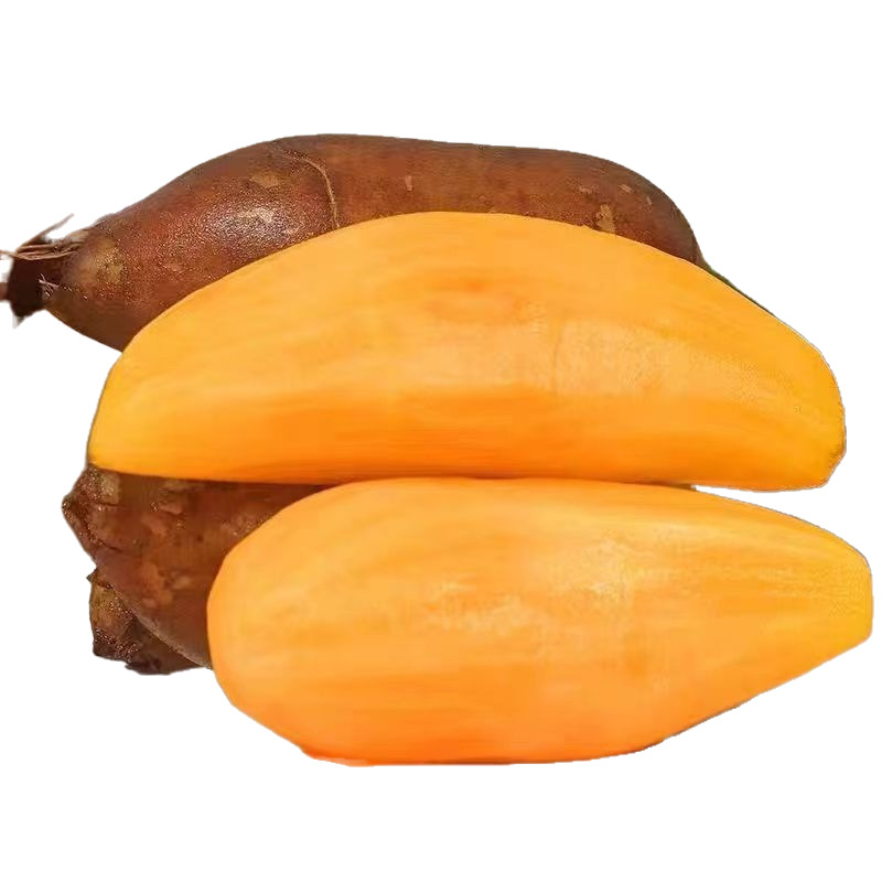 Yunnan Tianshan Snow Lotus Root 5kg Freshly Dug and Shipped Directly from the Place of Origin, Red Clay Sand Seasonal Fruit, Direct Delivery Specialty, Juicy