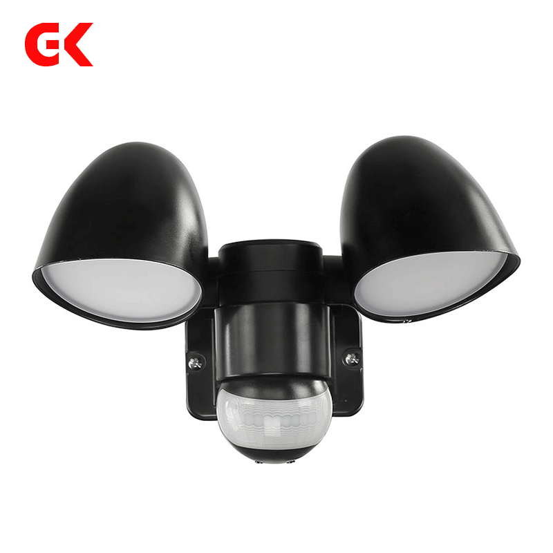 Remote control Cup type double head human body induction lamp outdoor courtyard wall lamp garden villa swimming pool projection lamp manufacturers