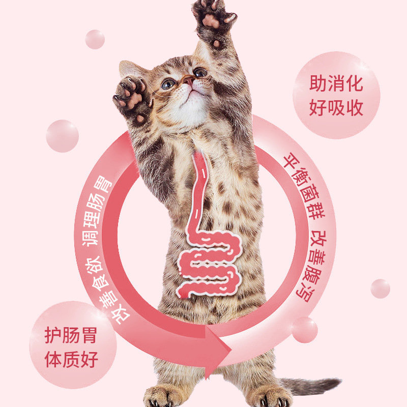 Bioline Pet Probiotics Wholesale, General Probiotic Gastrointestinal Nutritional Supplement for Cats and Dogs, Cross-Border Direct Supply