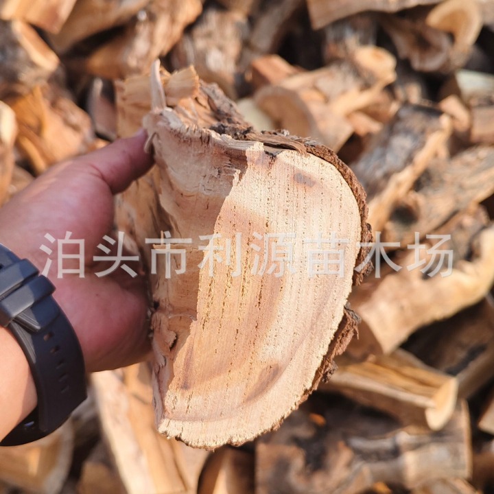 Jujube Firewood Processing Customized Firewood Fireplace Heating Dry Firewood Wood Hard Burn-Resistant Smoked Food Fruit Wood Firewood