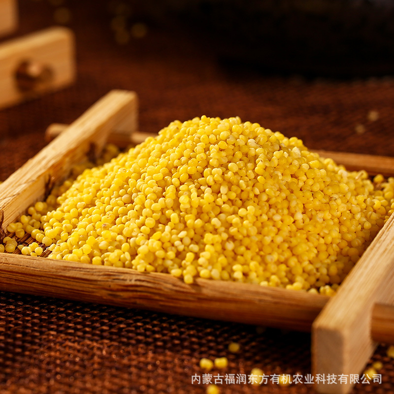 【Dropshipping】Furun Dongfang 2025 New Xiaomi Inner Mongolia Chifeng Big Golden Seed Xiaomi Porridge 2.5kg