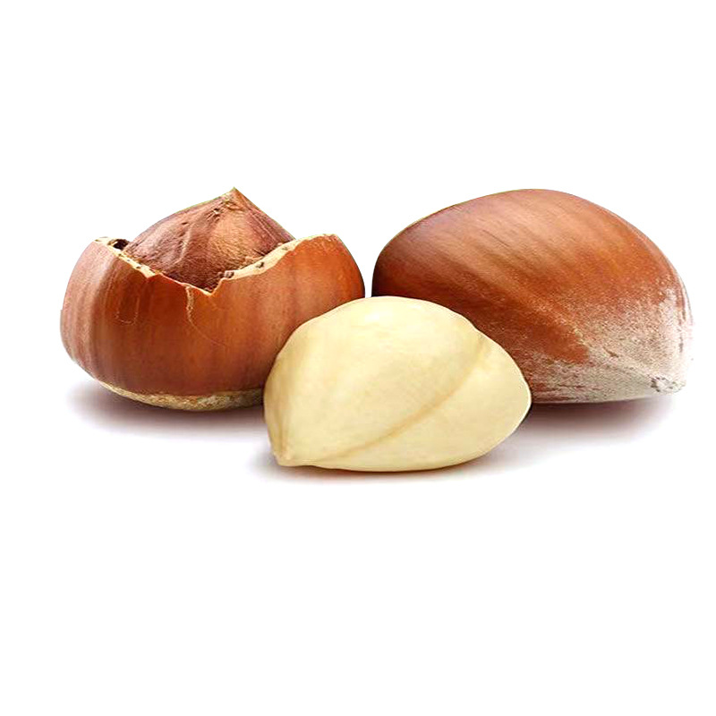Bagged Northeast Specialty Open Hazelnuts Zhenxin Manor Tieling Kaiyuan Cooked Hazelnuts 500G/Bag (Medium Grain)