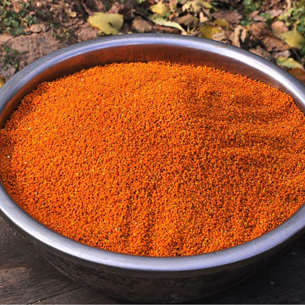 Edible Lotus Tea Flower Corn Sunflower Rapeseed Bee Pollen Parrot Bird Pet Food Cosmetics Pollen