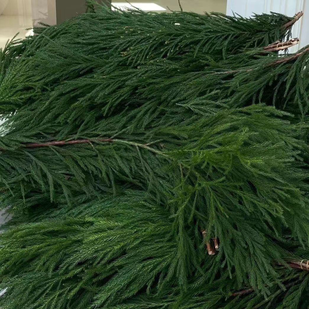 Sold by the Pound, Tianzhu Girl’S Fresh Christmas Pine Handmade DIY Christmas Tree Materials