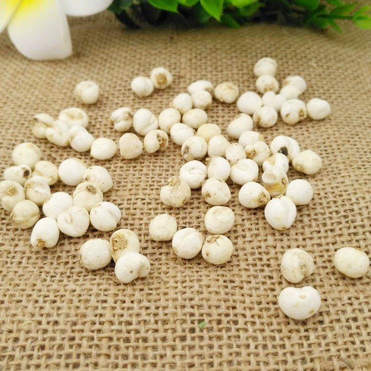 Sichuan Fritillaria Medicinal Herb, Flat Fritillaria, Pine Fritillaria, Seasonal New Arrivals, Multiple Specifications, Sichuan Fritillaria Wholesale