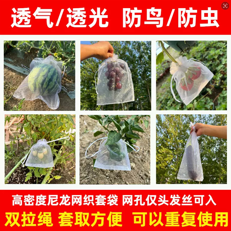 Mujiu Fruit Tree Insect-Proof Mesh Bag, Bird-Proof Gauze Mesh Bag, Protective Grape Bag, Fig Guava, Strawberry Bagging Peach