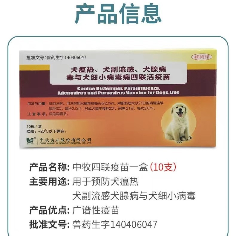 Canine Quadruple Medium Animal Vaccination Dog Native Dog Farm Prevention Canine Distemper Parvovirus Dog Epidemic Prevention Puppy Vaccination Quadruple