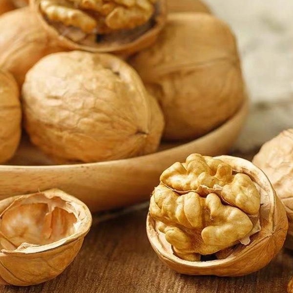 New Arrival 2025 Fresh Walnuts Sichuan Thin-Skinned Walnuts Tender Walnuts Raw Walnuts Pregnant Women Large Fruit Green Skin Fresh Wet Walnuts