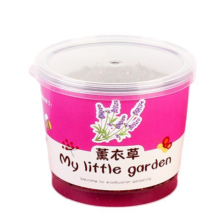 Small Bean Potted Green Plant Blind Potted Kindergarten Kidsren DIY Hand-Planted Flower Seeds Gift Set