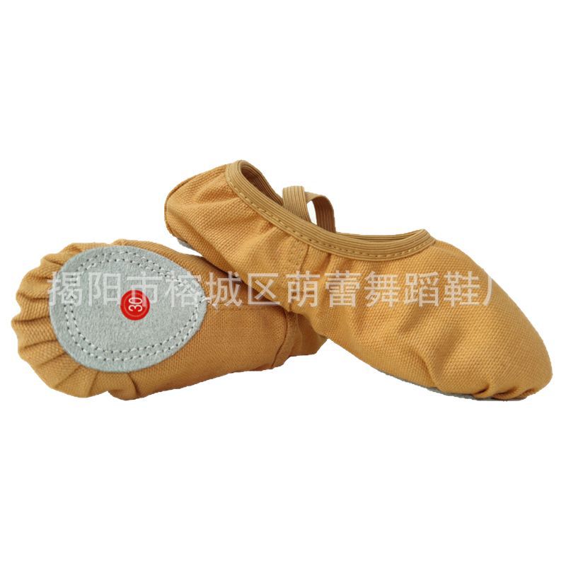 Wholesale Dance Shoes Children Women's Ballet Shoes Ballet Shoes Cat Claw Shoes Dance Soft Sole No Straps Practice Shoes