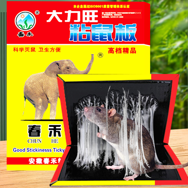 Chunhe Daliwang Mouse Stickers Thickened Strong Adhesive Household Deodorizing Magic Wholesale