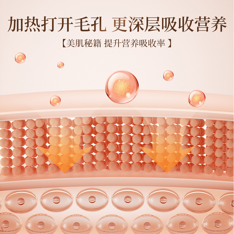 Facial Mask Heating Instrument Wet Wipes Three-Speed Temperature Control Facial Mask Machine Household USB Portable Foldableing Storage Cosmetic Mirror